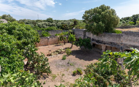 Masseria Lamagrotte By Raro Rooms: Lucht, Boom, Vegetation, Landschap, Struik, Plantengemeenschap, Land Lot, Landelijk Gebied, Bodem