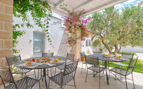 Masseria Lamagrotte By Raro Rooms: Meubilair, Stoel, Tafel, Buitenmeubels, Keuken En Eettafel, Buitentafel, Bloempot, Patio, Restaurant, Tuin