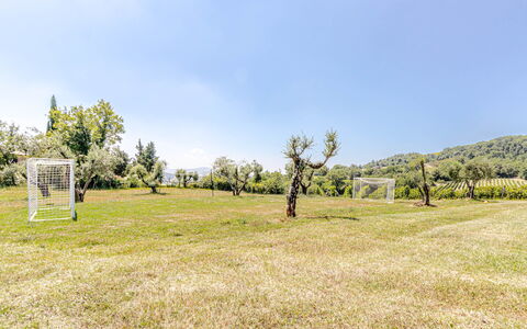 Villa Anna: Boom, Gras, Grasland, Land Lot, Plain, Weide, De Lente, Gazon, Pasture