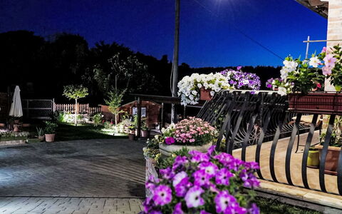 Le Rondini: Nacht, Bloempot, Tuin, Bloemisterij, Middernacht, Landscaping, Kamerplant, Landschap Verlichting, Werf