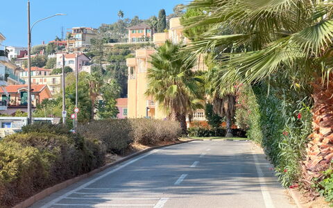 Casa Francy - Arma Di Taggia: Boom, Weg Oppervlak, Weg, Vegetation, Woongebied, Doorgang, Asfalt, Straat, Rijbaan