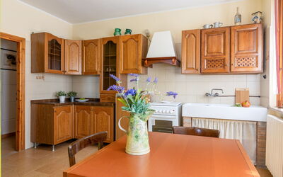 Accommodatie:&nbsp;Alfa Apartment
