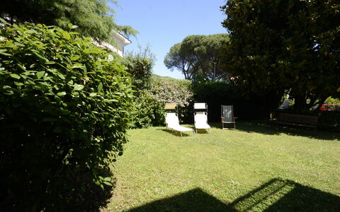 Casa Silvia: Blad, Struik, Tuin, Gazon, Groundcover, Backyard, Schaduw, Werf, Landscaping, Haag