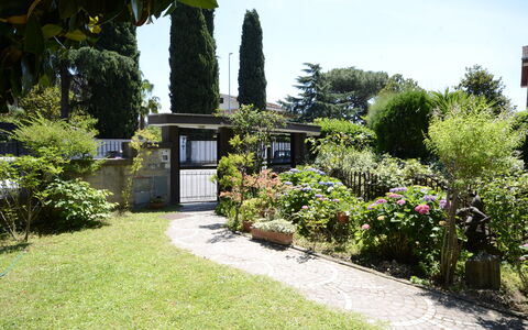 Casa Silvia: Struik, Tuin, Plantengemeenschap, Groundcover, Landscaping, Werf, Schaduw, Backyard, Gazon