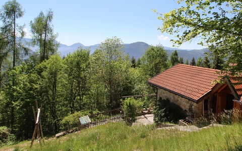 Baita Costa Di Gial: Boom, Huis, Verblijf, Landelijk Gebied, Heuvel Station, Lariks, Bergketen, Dorp, Bergdorp