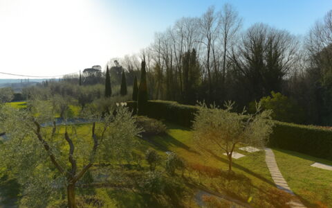 Villa Diamante: Gras, Blad, Natuur, Groen, Natuurlijke Omgeving, Vegetation, Natuurlijk Landschap, Struik, Landschap, Land Lot