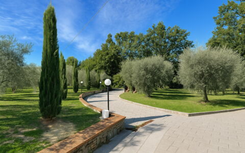 Villa Diamante: Boom, Gras, Blad, Struik, Tuin, Woody Plant, De Lente, Gang, Park, Landscaping