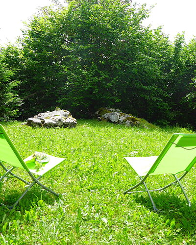 Chalet Giove: Groen, Meubilair, Gras, Buitenmeubels, Klapstoel, Stoel, Groundcover, Tuin, Gazon