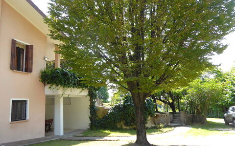 Villa Rosa Apartment: Woody Plant, Schaduw, Werf, Tuin, Gazon, Backyard, Landscaping, Oprit, Evergreen