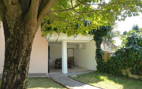 Villa Rosa Apartment: Tuin, Schaduw, Backyard, Gazon, Werf, Landscaping, Binnenplaats, Daylighting, Hacienda