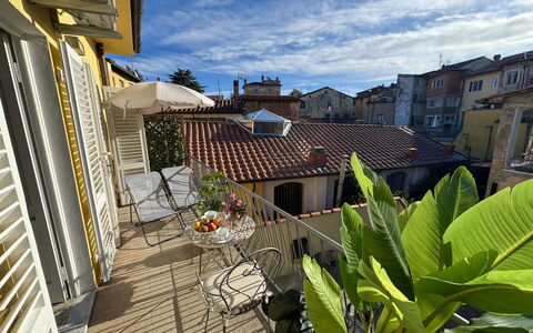 Casa Capolino: Buurt, Huis, Appartement, Balkon, Bloempot, Kamerplant