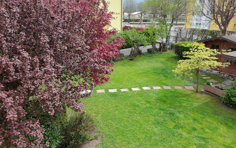 House Martina: Struik, Tuin, Groundcover, Gazon, De Lente, Backyard, Werf, Landscaping, Park
