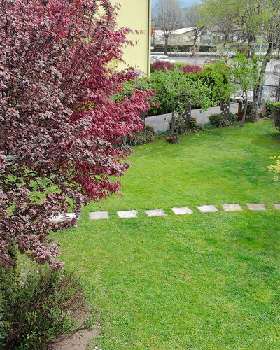 House Martina: Struik, Tuin, Groundcover, Gazon, De Lente, Backyard, Werf, Landscaping, Park