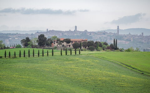 La Casina Honeymoon Cottage, Badia Agnano: Gras, Grasland, Horizon, Landschap, Plain, Heuvel, Land Lot, Weide, Veld, Landelijk Gebied