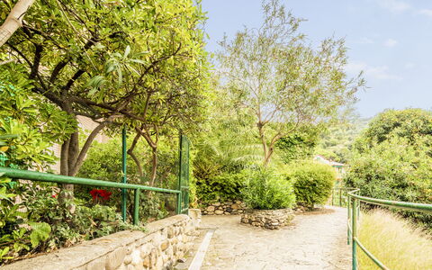 Casa Dolly, Monterosso 5 Terre: Groen, Vegetation, Struik, De Lente, Tuin, Schaduw, Botanische Tuin, Landscaping, Hek, Gang