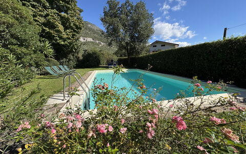 Allo Scoiattolo: Struik, Zwembad, Tuin, Landscaping, Backyard, Werf, Hacienda, Boerderij, Eco Hotel