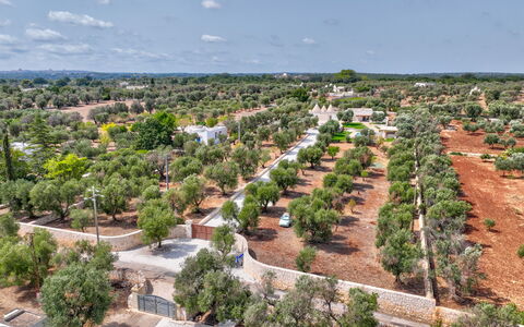 Trulli di Luccio: Boom, Landschap, Land Lot, Vogelperspectief, Luchtfotografie, Plantage, Dorp, Landscaping