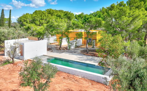 Villa Manè: Tuin, Landscaping, Backyard