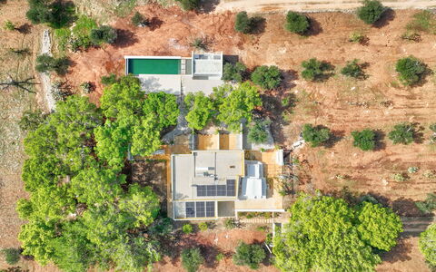 Villa Manè: Boom, Landgoed, Plantage, Luchtfotografie, Vogelperspectief
