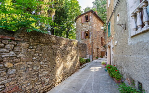 Torre di Serre: Muur, Steen, Steeg, Metselwerk, Stenen Muur, Flagstone, Cobblestone, Gang, Bloempot, Oprit