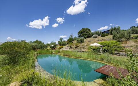 Aqua Bio Retreat: Blauw, Natuurlijk Landschap, Vijver, Tuin, Zwembad, Reflectie, Landscaping, Reservoir, Eco Hotel