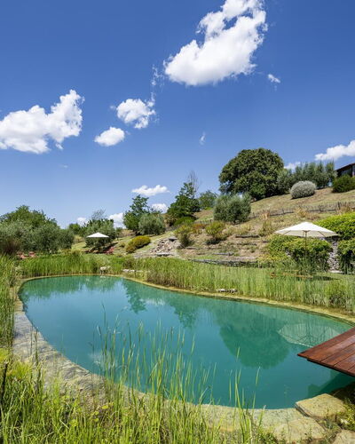 Aqua Bio Retreat: Blauw, Natuurlijk Landschap, Vijver, Tuin, Zwembad, Reflectie, Landscaping, Reservoir, Eco Hotel