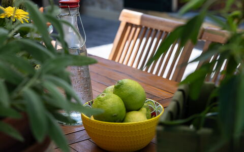 Podere la Botte, Pool, Lari: Bloempot, Tableware, Ingrediënt, Fruit, Produceren, Kamerplant, Voedsel