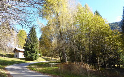 Chalet Genzianella