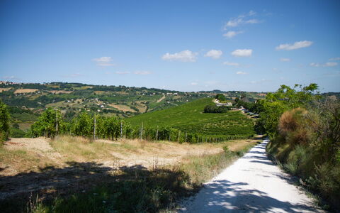 Zena Apartment: Groen, Vegetation, Natuurlijk Landschap, Grasland, Landschap, Heuvel, Landelijk Gebied, Struik, Plain
