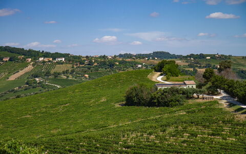 Zena Apartment: Groen, Landbouw, Veld, Plantage, Landelijk Gebied, Plain, Grasland, Landschap, Land Lot