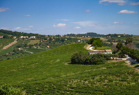 Zena Apartment: Groen, Landbouw, Veld, Plantage, Landelijk Gebied, Plain, Grasland, Landschap, Land Lot