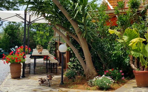 Appartamento Ibisco Seaside and Pool: Groen, Bloempot, Tuin, Meubilair, Schaduw, Buitenmeubels, Backyard, Kamerplant, Stoel