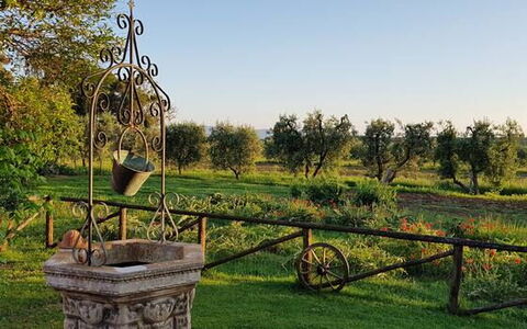 Appartamento Lavanda Seaside and Pool: Plain, Tuin, Park, Gazon, Werf, Landscaping, Plantage, Botanische Tuin, Boerderij, Backyard