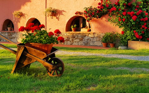 Appartamento Lavanda Seaside and Pool: Tuin, Landscaping, Werf, Bloempot, Backyard, Hacienda, Kamerplant
