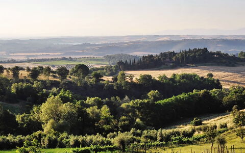 Casale Il Rondò, Private Pool, Città della Pieve: Boom, Natuurlijke Omgeving, Groen, Natuurlijk Landschap, Vegetation, Heuvel, Ecoregio, Grasland, Landschap, Plain