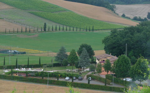 Tenuta Borgo al Sole: Landelijk Gebied, Plantage, Veld, Landbouw, Dorp, Boerderij, Landscaping, Evergreen