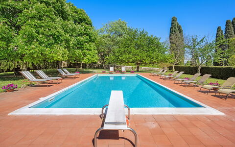 Medieval Castle Living: Vineyards, Swimming Pool &: Struik, Tuin, Zwembad, Landgoed, Hacienda, Schaduw, Landscaping, Gazon, Villa, Toevlucht