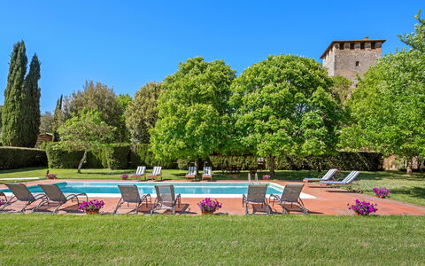 Medieval Castle Living: Vineyards, Swimming Pool &: Struik, Tuin, Landgoed, Hacienda, Gazon, Landscaping, Plantage, Haag, Binnenplaats, Park