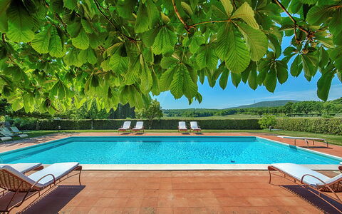 Medieval Castle Living: Vineyards, Swimming Pool &: Tuin, Schaduw, Toevlucht, Eco Hotel, Zwembad, Hacienda, Buitenmeubels, Plantage, Villa, Boerderij