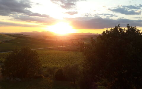 Podere Peteglia: Zon, Horizon, Natuur, Zonsondergang, Natuurlijk Landschap, Zonsopkomst, Afterglow, Heuvel, Landschap, Schemer