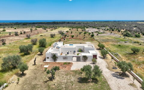 Terracorte Villa: Landschap, Architectuur, Land Lot, Plain, Huis, Landgoed, Landscaping, Dorp, Hacienda, Boerderij