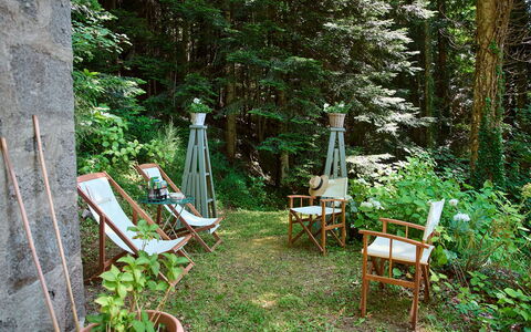 Il Gallinaio, Vivo D'Orcia: Hout, Vegetation, Meubilair, Plantengemeenschap, Buitenmeubels, Trunk, Tuin, Groundcover, De Lente, Stoel