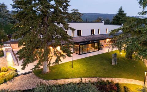 Villa Bocchi: Boom, Schaduw, Gazon, Tuin, Landgoed, Werf, Landscaping, Gang, Park