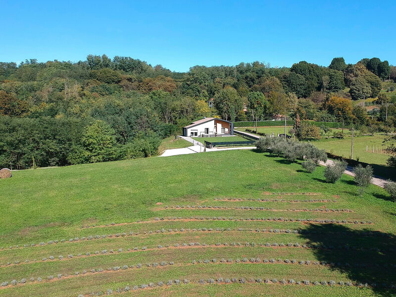 Villa Dolce Bosco with Pool, Valdobbiadene