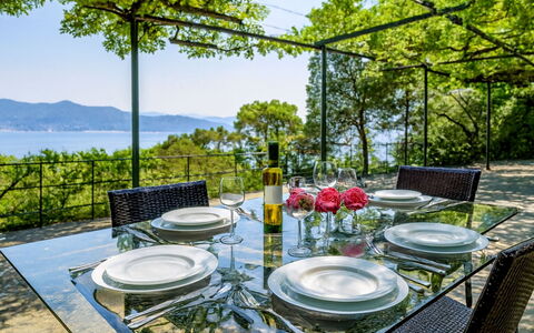 Portofino: Meubilair, Tafel, Stoel, Keuken En Eettafel, Buitentafel, Restaurant, Buitenmeubels, Schaduw, Toevlucht, Tuin