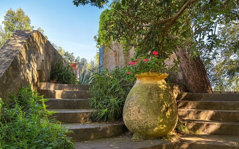 Portofino – Private Sea Access & Car-Free Luxury H: Groen, Blad, Natuur, Vegetation, Struik, Trap, De Lente, Tuin, Zonlicht, Landscaping