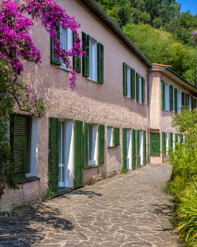 Portofino: Struik, De Lente, Tuin, Gang