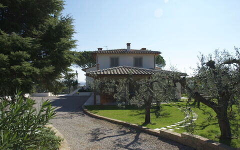 Castelprile: Woongebied, Huis, Huis, Dak, Struik, Landgoed, Verblijf, Tuin, Hacienda