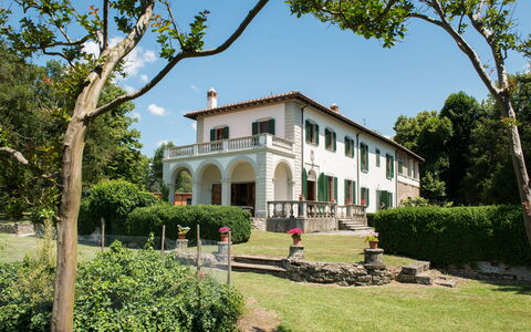 Martini: Struik, Landgoed, Hacienda, Herenhuis, Gazon, Boerderij, Tuin, Villa, Werf, Landscaping