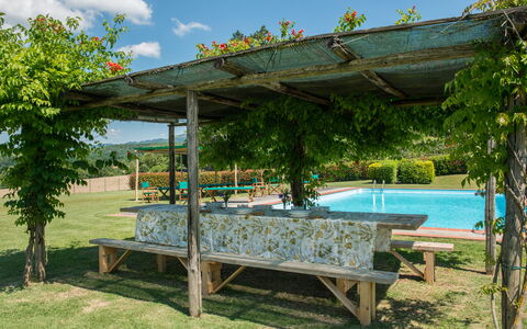 Martini: Schaduw, Tuin, Outdoor Structuur, Pergola, Zwembad, Landscaping, Backyard, Eco Hotel, Werf, Toevlucht